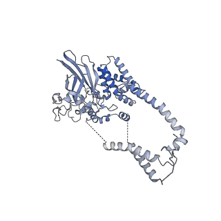 22783_7kat_D_v1-2
Cryo-EM structure of the Sec complex from S. cerevisiae, Sec61 pore ring and Sec63 FN3 double mutant, class without Sec62