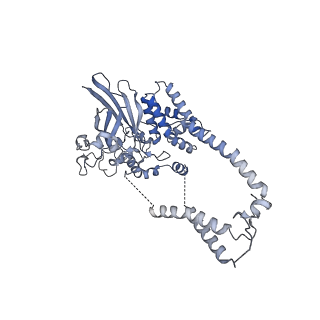 22783_7kat_D_v1-3
Cryo-EM structure of the Sec complex from S. cerevisiae, Sec61 pore ring and Sec63 FN3 double mutant, class without Sec62