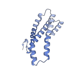 22783_7kat_E_v1-2
Cryo-EM structure of the Sec complex from S. cerevisiae, Sec61 pore ring and Sec63 FN3 double mutant, class without Sec62