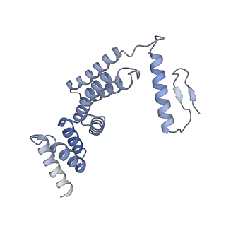 22783_7kat_F_v1-2
Cryo-EM structure of the Sec complex from S. cerevisiae, Sec61 pore ring and Sec63 FN3 double mutant, class without Sec62