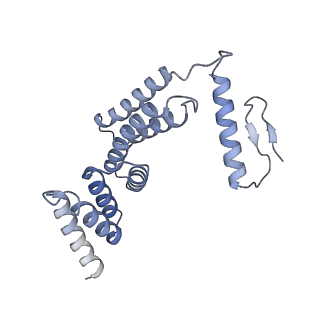 22783_7kat_F_v1-3
Cryo-EM structure of the Sec complex from S. cerevisiae, Sec61 pore ring and Sec63 FN3 double mutant, class without Sec62