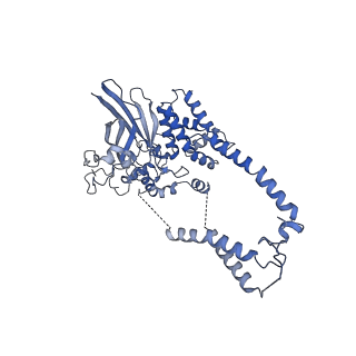 22784_7kau_D_v1-3
Cryo-EM structure of the Sec complex from S. cerevisiae, Sec61 pore ring and Sec63 FN3 double mutant, class with Sec62