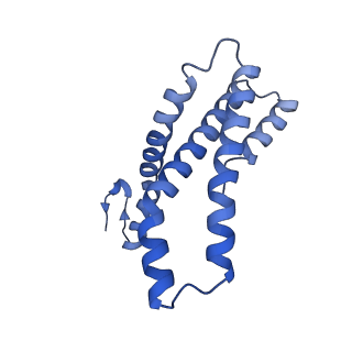 22784_7kau_E_v1-3
Cryo-EM structure of the Sec complex from S. cerevisiae, Sec61 pore ring and Sec63 FN3 double mutant, class with Sec62