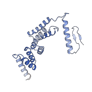 22784_7kau_F_v1-2
Cryo-EM structure of the Sec complex from S. cerevisiae, Sec61 pore ring and Sec63 FN3 double mutant, class with Sec62