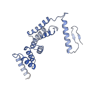 22784_7kau_F_v1-3
Cryo-EM structure of the Sec complex from S. cerevisiae, Sec61 pore ring and Sec63 FN3 double mutant, class with Sec62