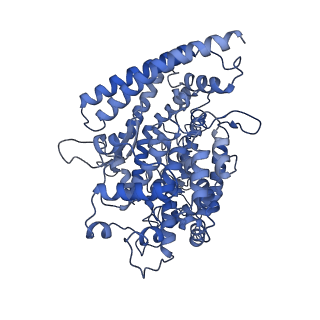 37006_8ka8_A_v1-0
Cryo-EM structure of SARS-CoV-2 Delta RBD in complex with golden hamster ACE2 (local refinement)