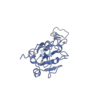 37006_8ka8_E_v1-0
Cryo-EM structure of SARS-CoV-2 Delta RBD in complex with golden hamster ACE2 (local refinement)