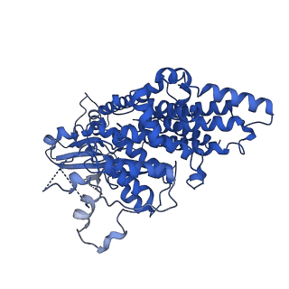 9954_6ka4_A_v1-1
Cryo-EM structure of the AtMLKL3 tetramer