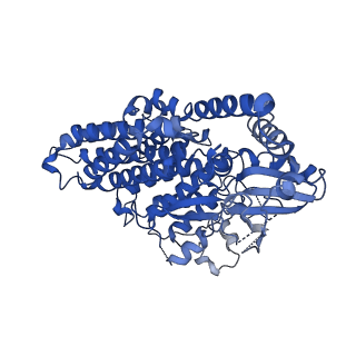 9954_6ka4_D_v1-1
Cryo-EM structure of the AtMLKL3 tetramer