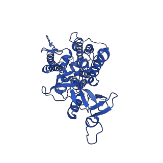 9955_6kac_b_v1-3
Cryo-EM structure of the C2S2-type PSII-LHCII supercomplex from Chlamydomonas reihardtii