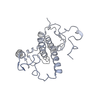 9956_6kad_3_v2-0
Cryo-EM structure of the C2S2M2L2-type PSII-LHCII supercomplex from Chlamydomonas reihardtii