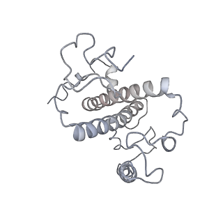 9956_6kad_5_v2-0
Cryo-EM structure of the C2S2M2L2-type PSII-LHCII supercomplex from Chlamydomonas reihardtii