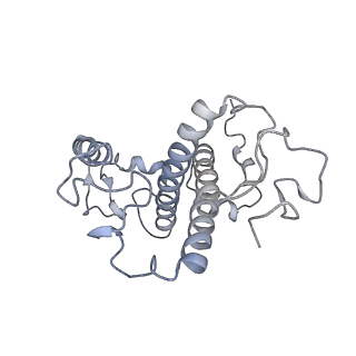 9956_6kad_6_v2-0
Cryo-EM structure of the C2S2M2L2-type PSII-LHCII supercomplex from Chlamydomonas reihardtii