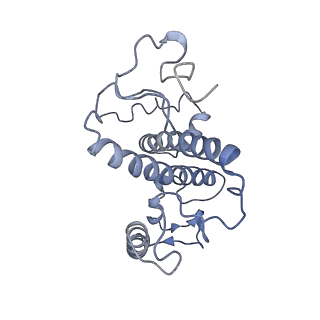 9956_6kad_7_v2-0
Cryo-EM structure of the C2S2M2L2-type PSII-LHCII supercomplex from Chlamydomonas reihardtii