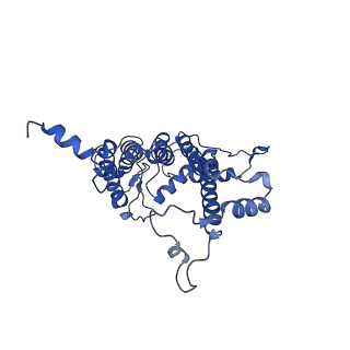 9956_6kad_A_v2-0
Cryo-EM structure of the C2S2M2L2-type PSII-LHCII supercomplex from Chlamydomonas reihardtii