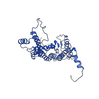 9956_6kad_D_v2-0
Cryo-EM structure of the C2S2M2L2-type PSII-LHCII supercomplex from Chlamydomonas reihardtii