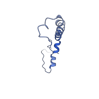 9956_6kad_E_v2-0
Cryo-EM structure of the C2S2M2L2-type PSII-LHCII supercomplex from Chlamydomonas reihardtii