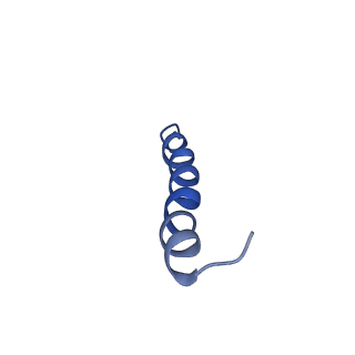 9956_6kad_F_v2-0
Cryo-EM structure of the C2S2M2L2-type PSII-LHCII supercomplex from Chlamydomonas reihardtii