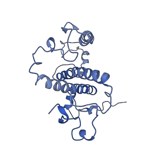 9956_6kad_G_v2-0
Cryo-EM structure of the C2S2M2L2-type PSII-LHCII supercomplex from Chlamydomonas reihardtii