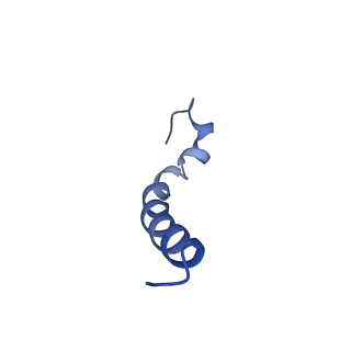 9956_6kad_K_v2-0
Cryo-EM structure of the C2S2M2L2-type PSII-LHCII supercomplex from Chlamydomonas reihardtii