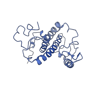 9956_6kad_N_v2-0
Cryo-EM structure of the C2S2M2L2-type PSII-LHCII supercomplex from Chlamydomonas reihardtii