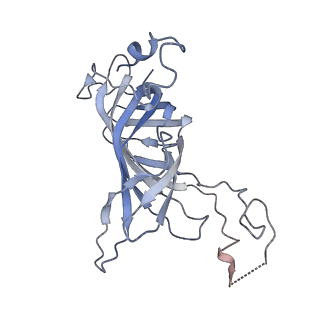 9956_6kad_O_v2-0
Cryo-EM structure of the C2S2M2L2-type PSII-LHCII supercomplex from Chlamydomonas reihardtii