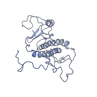 9956_6kad_S_v2-0
Cryo-EM structure of the C2S2M2L2-type PSII-LHCII supercomplex from Chlamydomonas reihardtii