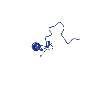 9956_6kad_W_v2-0
Cryo-EM structure of the C2S2M2L2-type PSII-LHCII supercomplex from Chlamydomonas reihardtii