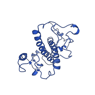 9956_6kad_Y_v2-0
Cryo-EM structure of the C2S2M2L2-type PSII-LHCII supercomplex from Chlamydomonas reihardtii