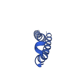 9956_6kad_Z_v2-0
Cryo-EM structure of the C2S2M2L2-type PSII-LHCII supercomplex from Chlamydomonas reihardtii