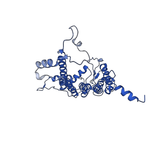 9956_6kad_a_v2-0
Cryo-EM structure of the C2S2M2L2-type PSII-LHCII supercomplex from Chlamydomonas reihardtii