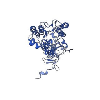 9956_6kad_b_v2-0
Cryo-EM structure of the C2S2M2L2-type PSII-LHCII supercomplex from Chlamydomonas reihardtii