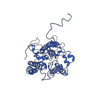 9956_6kad_c_v2-0
Cryo-EM structure of the C2S2M2L2-type PSII-LHCII supercomplex from Chlamydomonas reihardtii