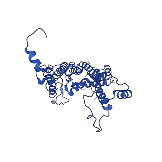 9956_6kad_d_v2-0
Cryo-EM structure of the C2S2M2L2-type PSII-LHCII supercomplex from Chlamydomonas reihardtii