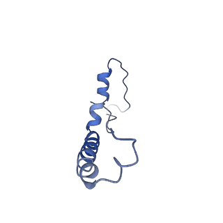 9956_6kad_e_v2-0
Cryo-EM structure of the C2S2M2L2-type PSII-LHCII supercomplex from Chlamydomonas reihardtii