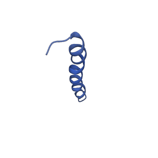 9956_6kad_f_v2-0
Cryo-EM structure of the C2S2M2L2-type PSII-LHCII supercomplex from Chlamydomonas reihardtii