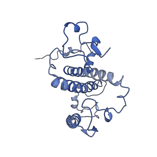 9956_6kad_g_v2-0
Cryo-EM structure of the C2S2M2L2-type PSII-LHCII supercomplex from Chlamydomonas reihardtii