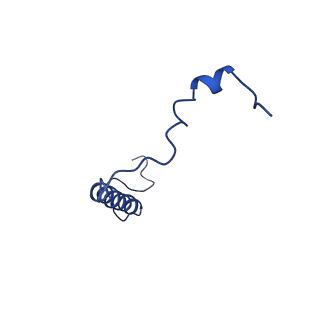 9956_6kad_h_v2-0
Cryo-EM structure of the C2S2M2L2-type PSII-LHCII supercomplex from Chlamydomonas reihardtii