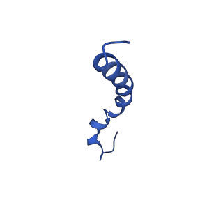 9956_6kad_k_v2-0
Cryo-EM structure of the C2S2M2L2-type PSII-LHCII supercomplex from Chlamydomonas reihardtii