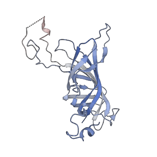 9956_6kad_o_v2-0
Cryo-EM structure of the C2S2M2L2-type PSII-LHCII supercomplex from Chlamydomonas reihardtii