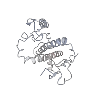 9956_6kad_p_v2-0
Cryo-EM structure of the C2S2M2L2-type PSII-LHCII supercomplex from Chlamydomonas reihardtii