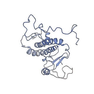 9956_6kad_s_v2-0
Cryo-EM structure of the C2S2M2L2-type PSII-LHCII supercomplex from Chlamydomonas reihardtii