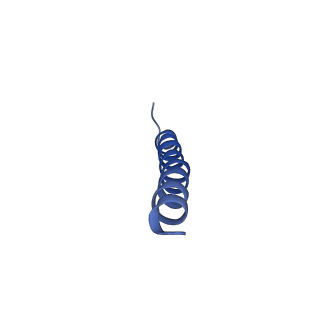 9956_6kad_x_v2-0
Cryo-EM structure of the C2S2M2L2-type PSII-LHCII supercomplex from Chlamydomonas reihardtii