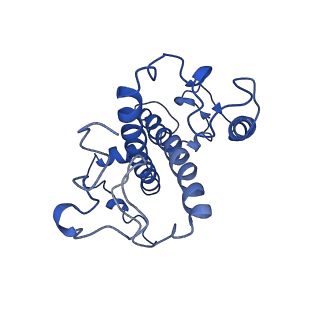 9956_6kad_y_v2-0
Cryo-EM structure of the C2S2M2L2-type PSII-LHCII supercomplex from Chlamydomonas reihardtii