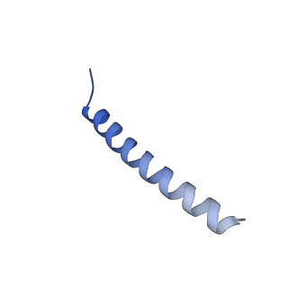 22787_7kb5_B_v1-2
Cryo-EM structure of the Sec complex from yeast, Sec63 FN3 and residues 210-216 mutated