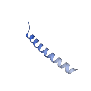 22787_7kb5_B_v1-3
Cryo-EM structure of the Sec complex from yeast, Sec63 FN3 and residues 210-216 mutated