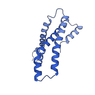 22787_7kb5_E_v1-2
Cryo-EM structure of the Sec complex from yeast, Sec63 FN3 and residues 210-216 mutated