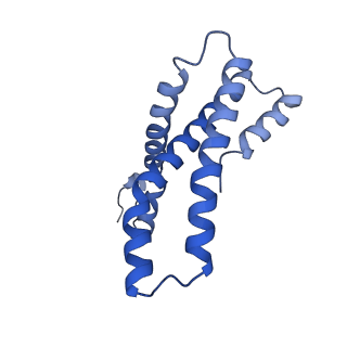 22787_7kb5_E_v1-3
Cryo-EM structure of the Sec complex from yeast, Sec63 FN3 and residues 210-216 mutated