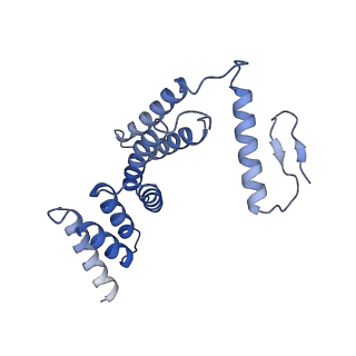 22787_7kb5_F_v1-2
Cryo-EM structure of the Sec complex from yeast, Sec63 FN3 and residues 210-216 mutated