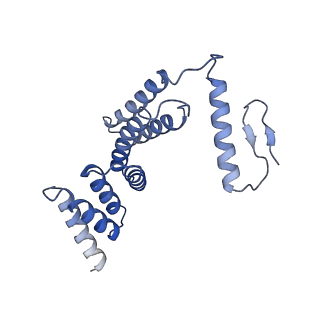 22787_7kb5_F_v1-3
Cryo-EM structure of the Sec complex from yeast, Sec63 FN3 and residues 210-216 mutated